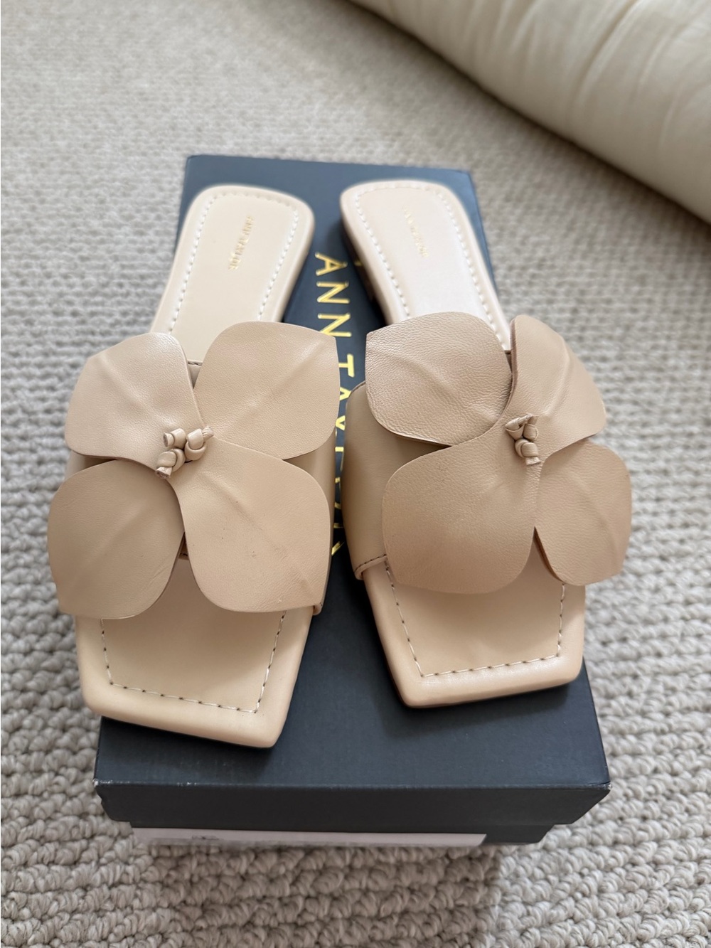 Ann Taylor - Beige Floral Slide Sandals (8)